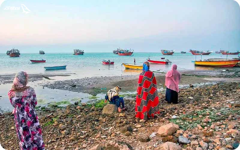 بهترین زمان بازدید از جزیره شیف؛ پاییز و زمستان بهترین زمان بازدید از جزیره شیف